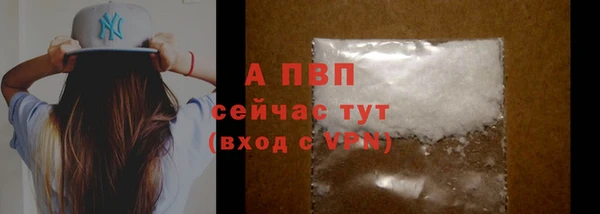 гидра Абаза